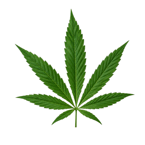Leaf