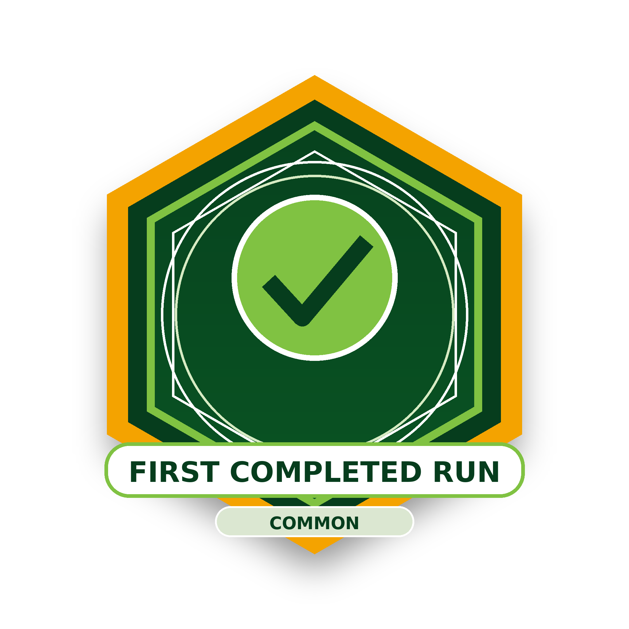 First Completed Run