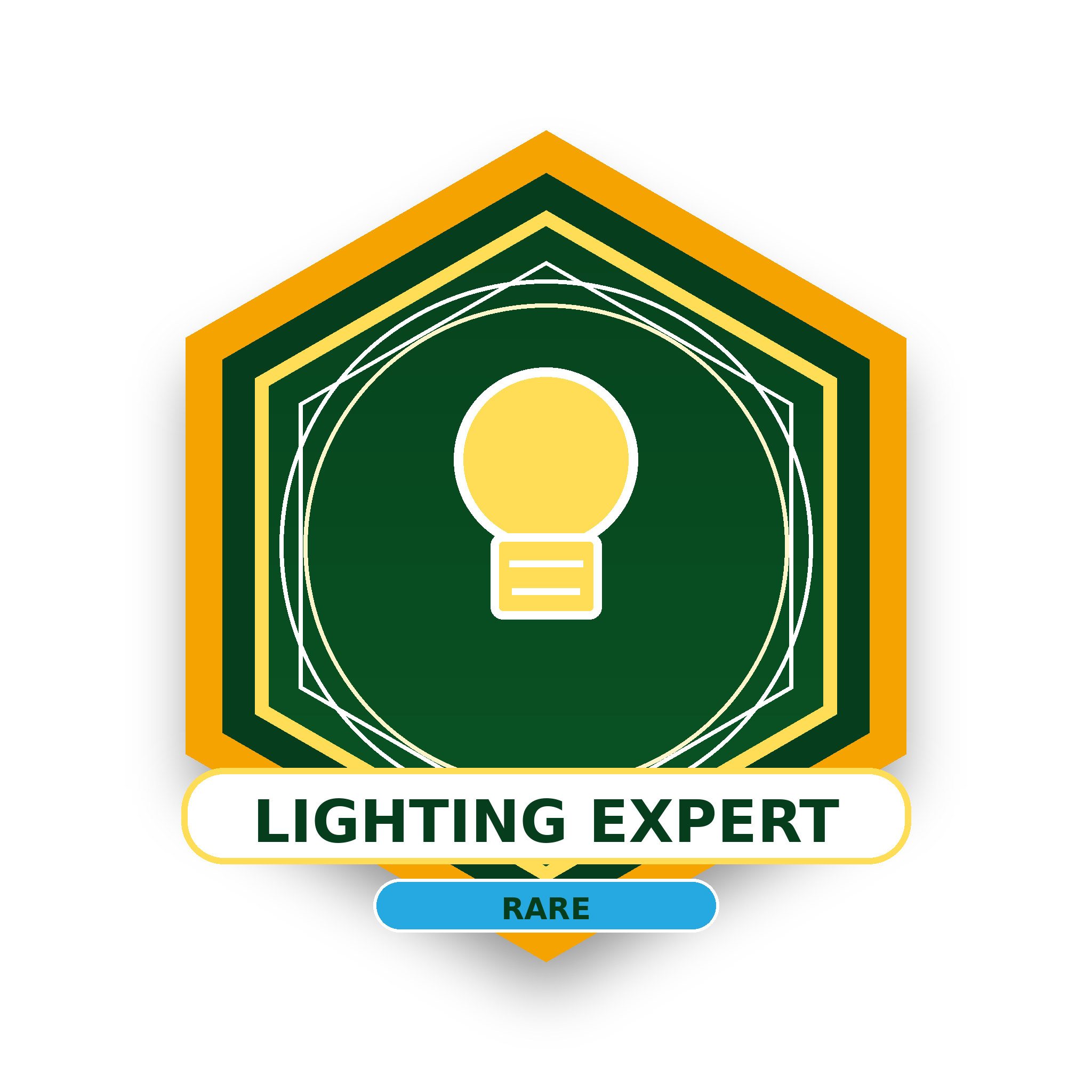 Lighting Expert